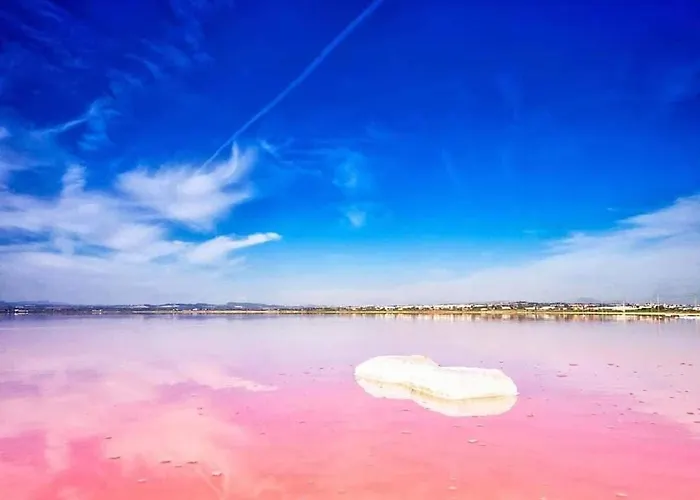 Apartamento Palm Beach-el Palmeral *