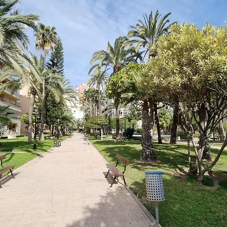 Апартаменти Palm Beach-el Palmeral Торрев'єха