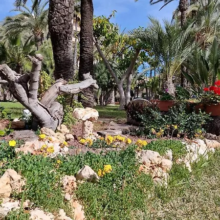 Palm Beach-el Palmeral *