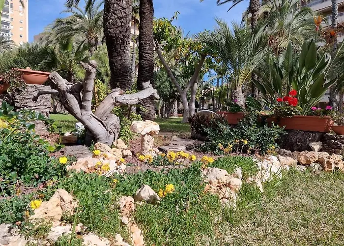 Palm Beach-el Palmeral *